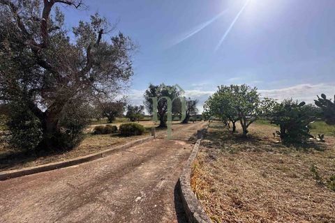 Ruin i Brindisi, Brindisi, Brindisi - € 34 000 | Ref: Lamia Melograno - foto 5